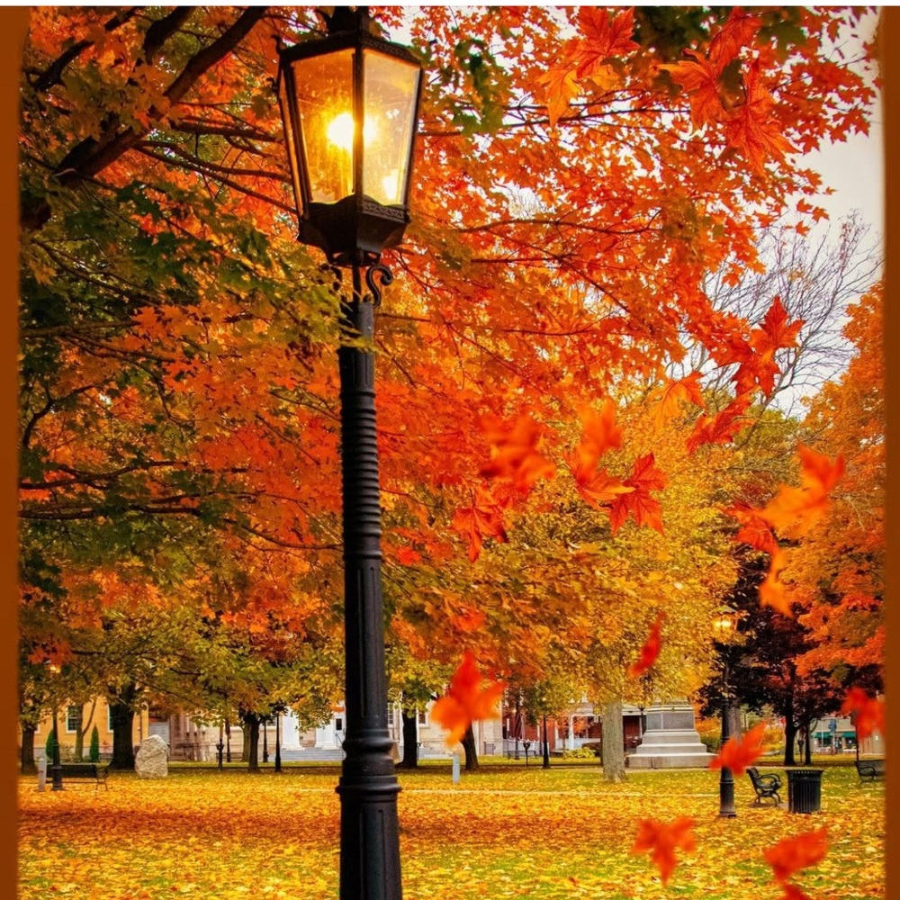 Meet your Posher, Shana